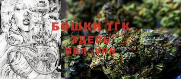 прущая мука Вяземский