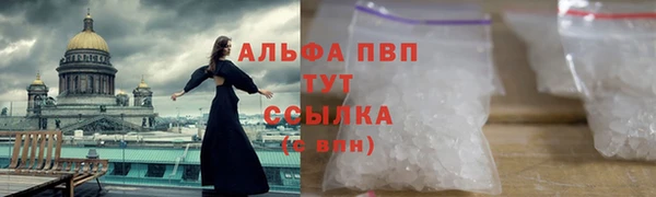 прущая мука Вяземский