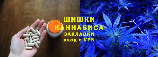 прущая мука Вяземский