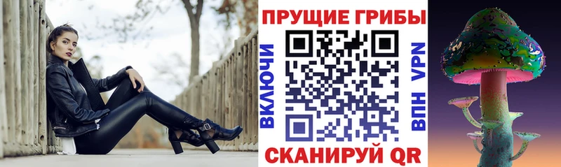 гидра как войти  наркота  Шиханы  Галлюциногенные грибы Psilocybe 